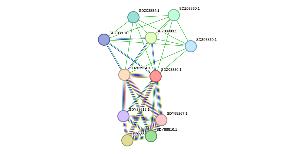 STRING protein interaction network