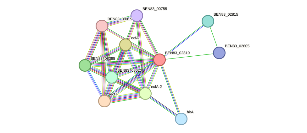 STRING protein interaction network