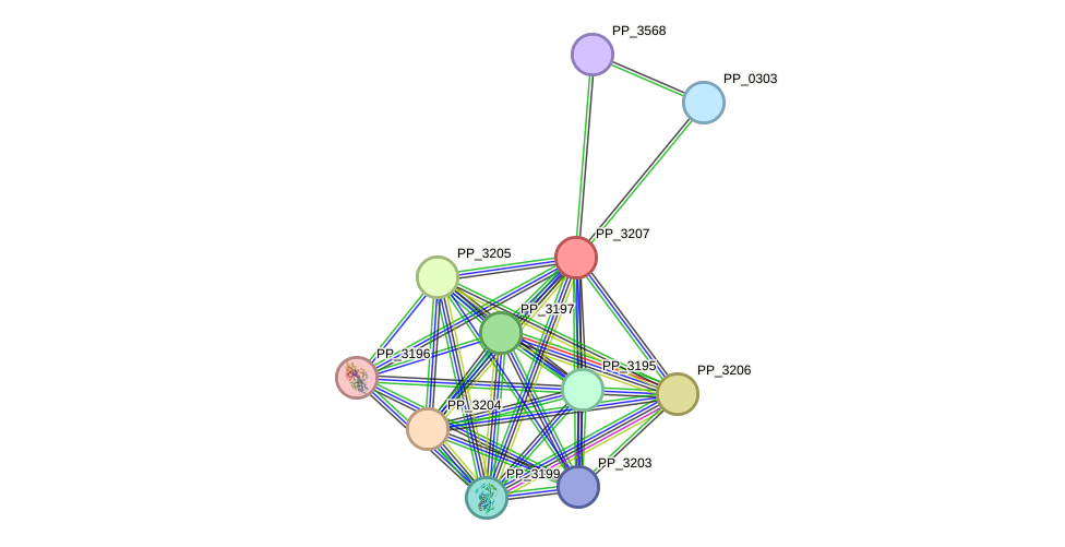STRING protein interaction network