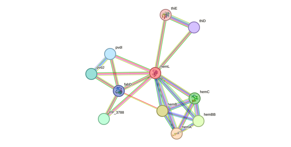 STRING protein interaction network