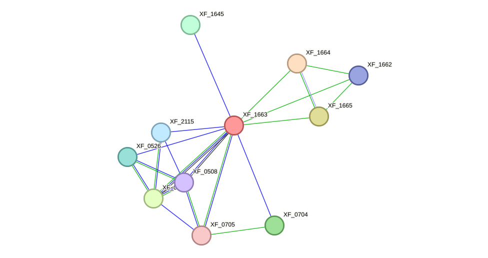 STRING protein interaction network