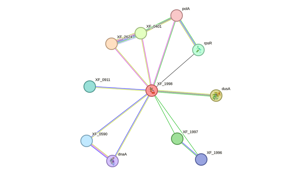 STRING protein interaction network