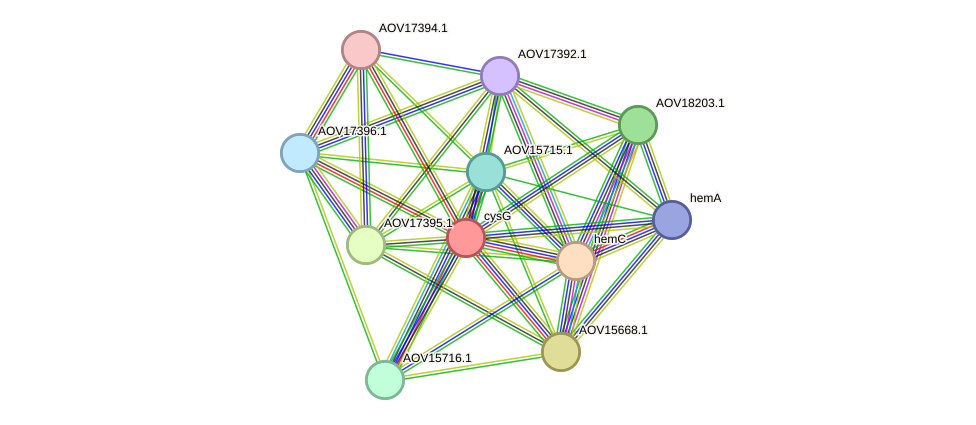 STRING protein interaction network