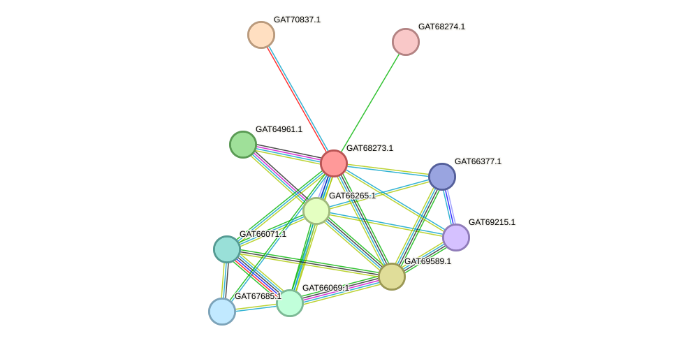 STRING protein interaction network