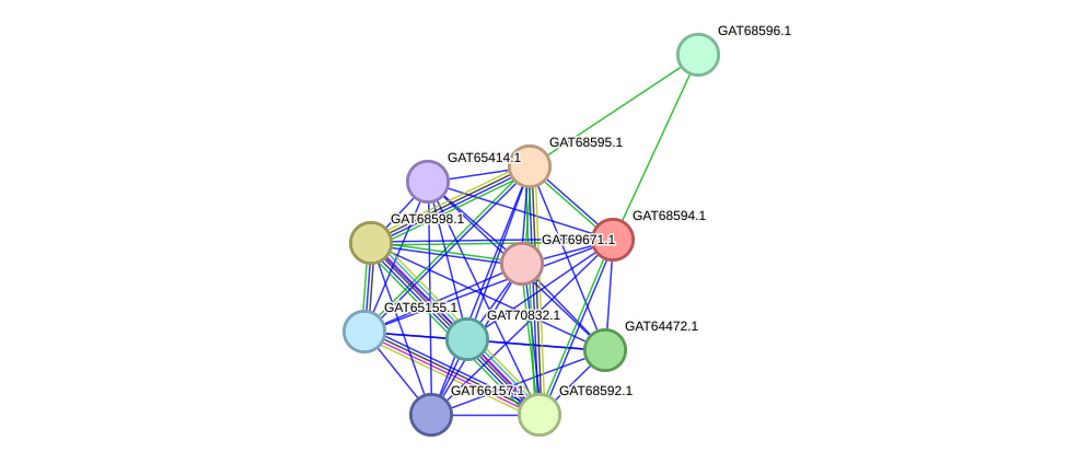 STRING protein interaction network