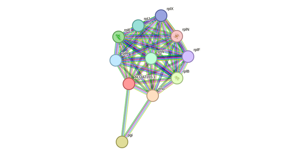 STRING protein interaction network