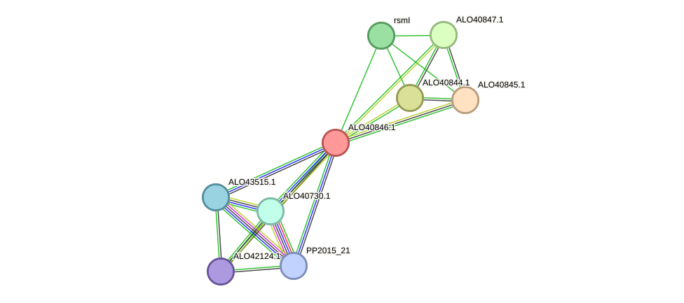 STRING protein interaction network