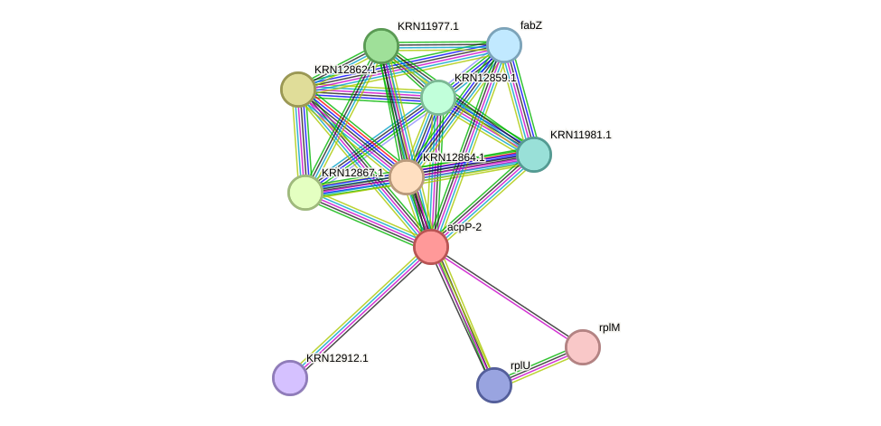 STRING protein interaction network