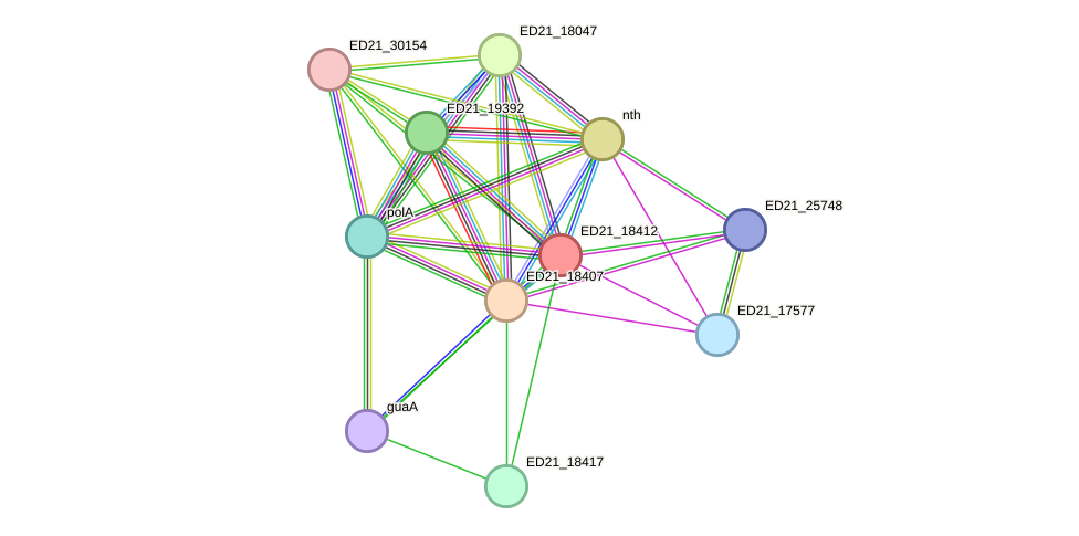 STRING protein interaction network