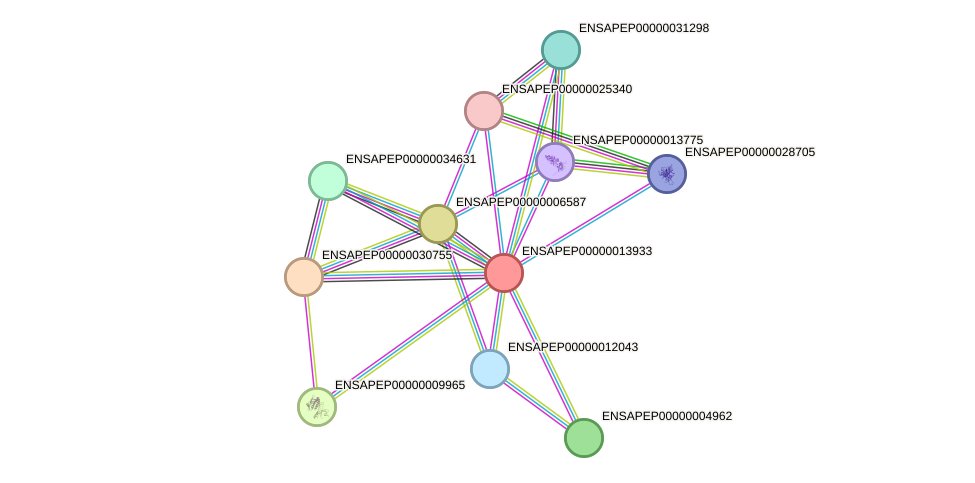 STRING protein interaction network