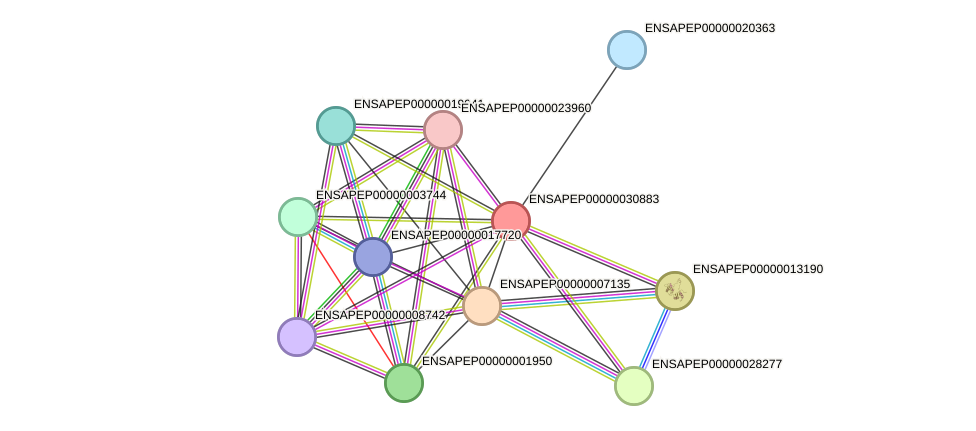 STRING protein interaction network