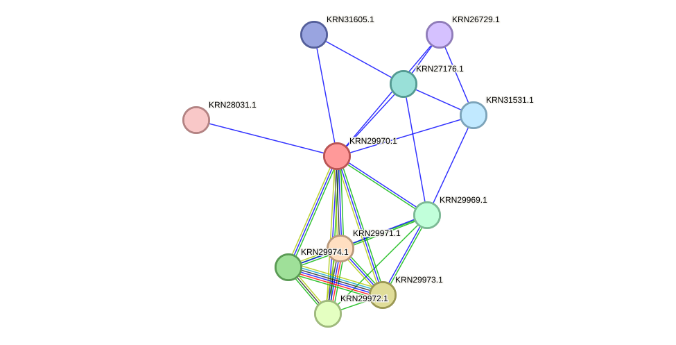 STRING protein interaction network