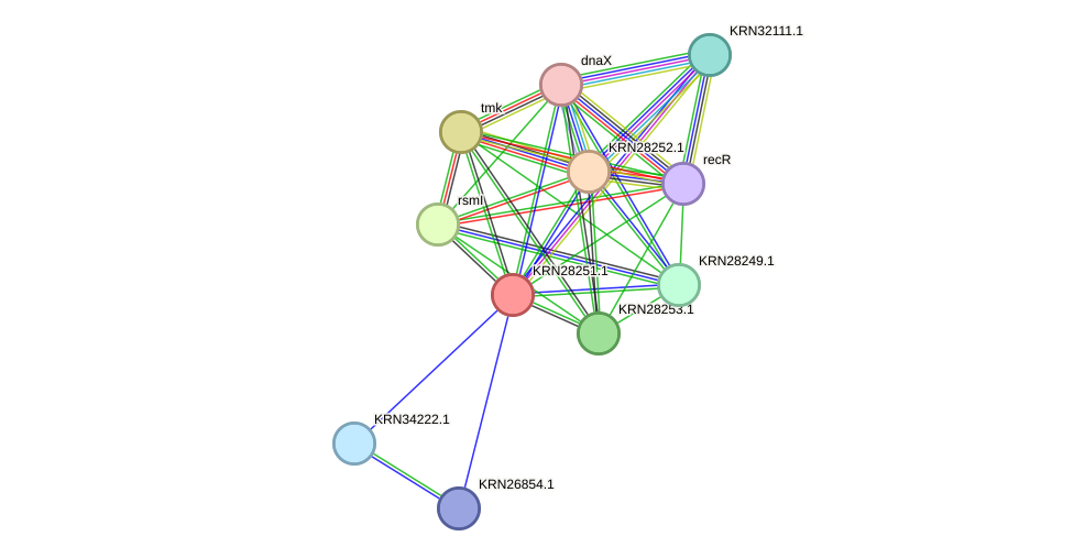 STRING protein interaction network