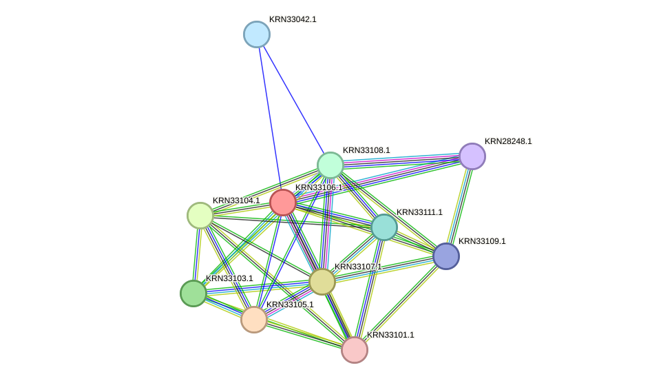 STRING protein interaction network