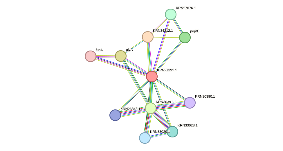 STRING protein interaction network