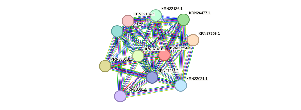 STRING protein interaction network