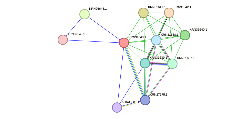 STRING protein interaction network