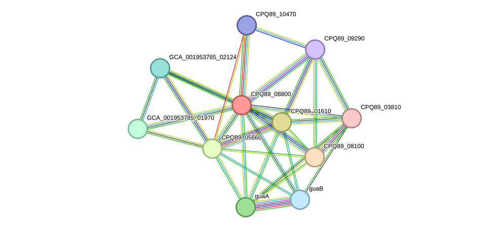 STRING protein interaction network