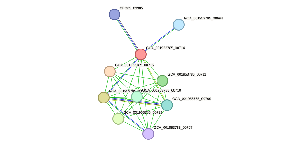 STRING protein interaction network