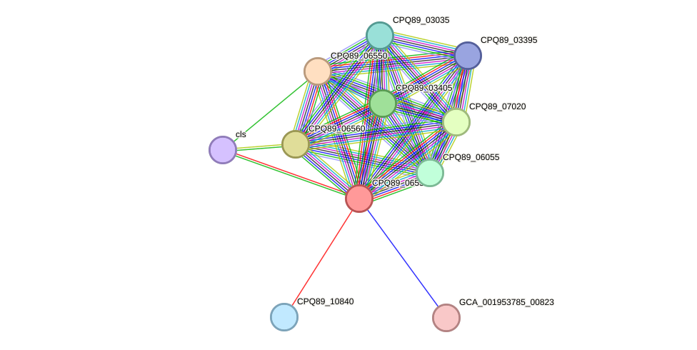 STRING protein interaction network