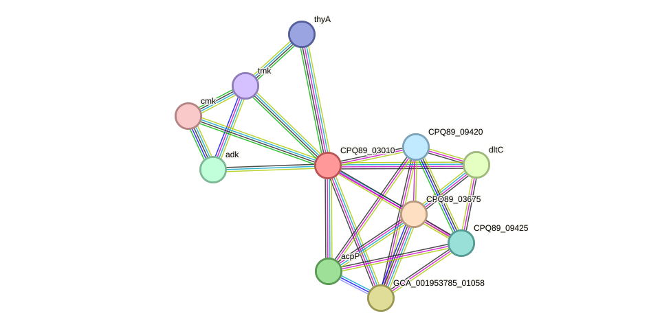 STRING protein interaction network