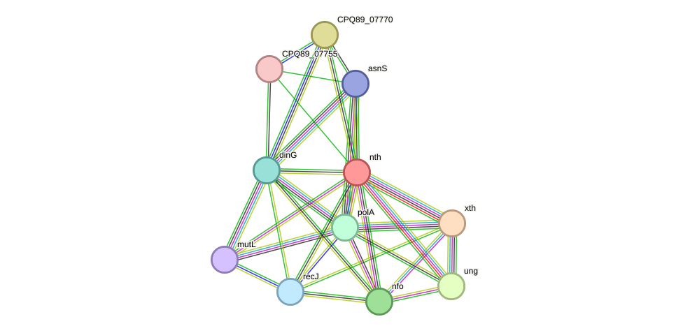 STRING protein interaction network