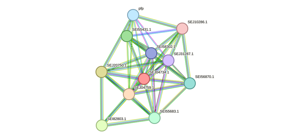 STRING protein interaction network