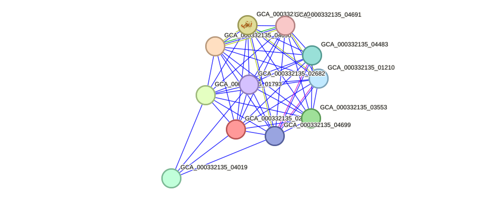 STRING protein interaction network