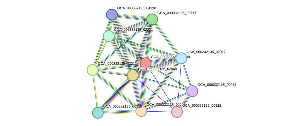 STRING protein interaction network