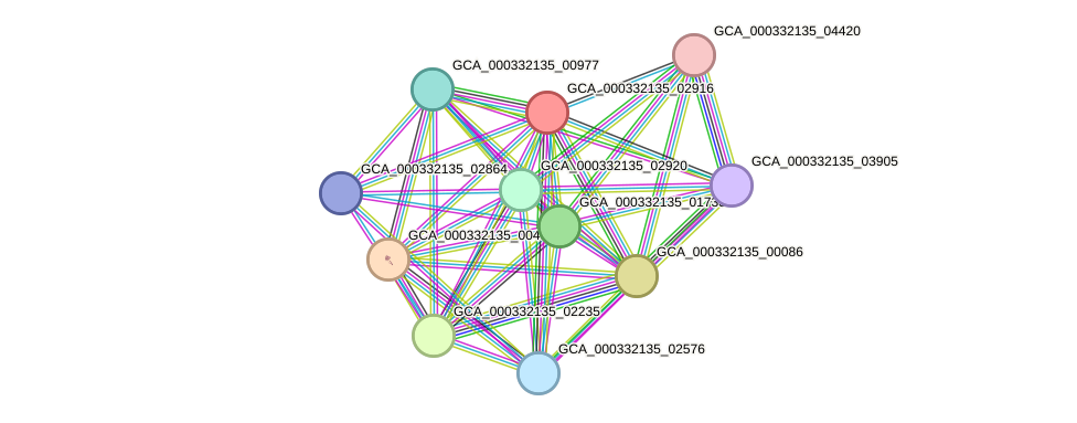 STRING protein interaction network