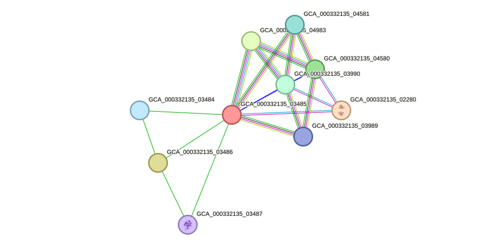 STRING protein interaction network