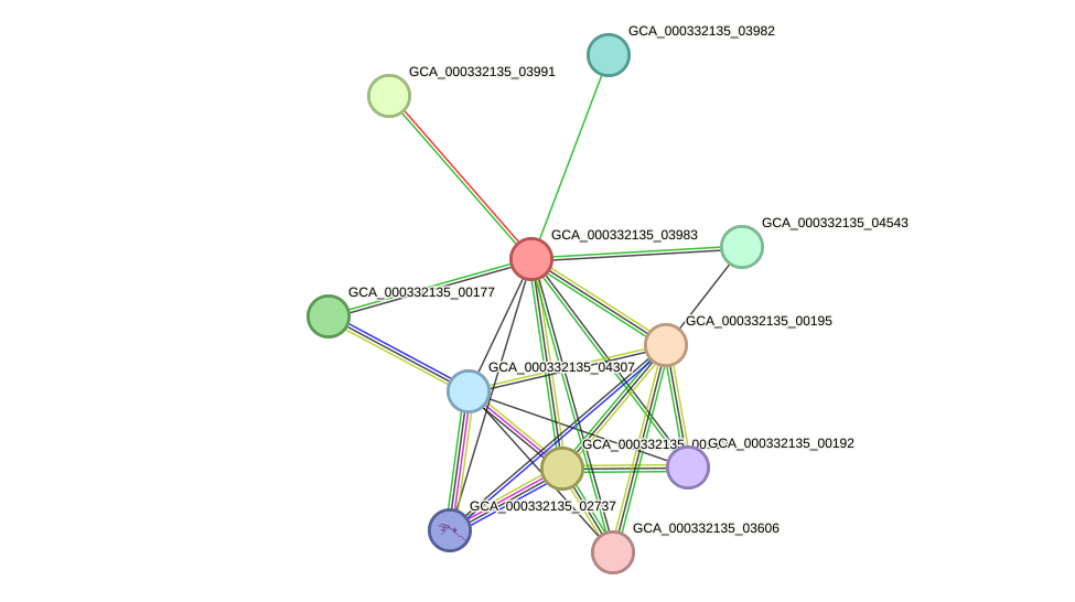 STRING protein interaction network