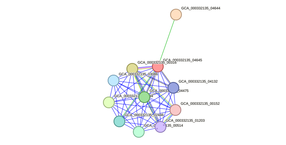 STRING protein interaction network