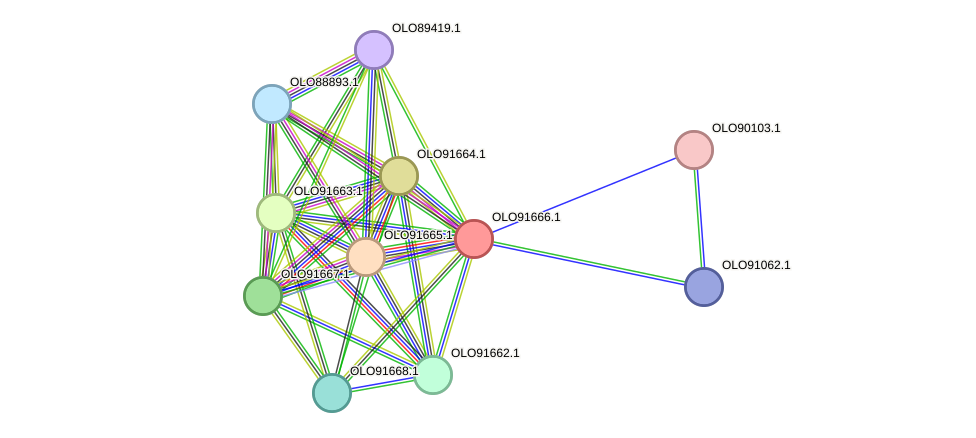 STRING protein interaction network