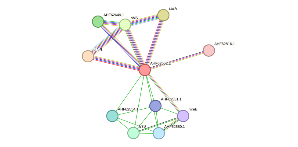 STRING protein interaction network
