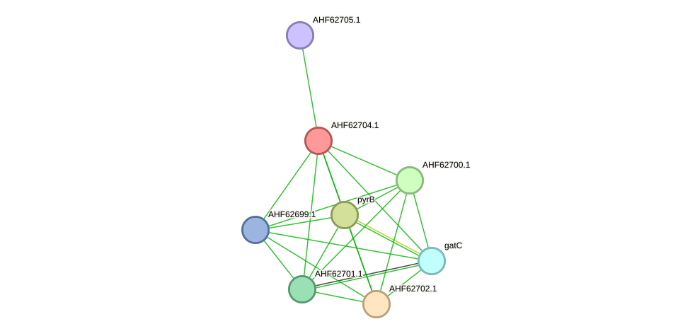 STRING protein interaction network