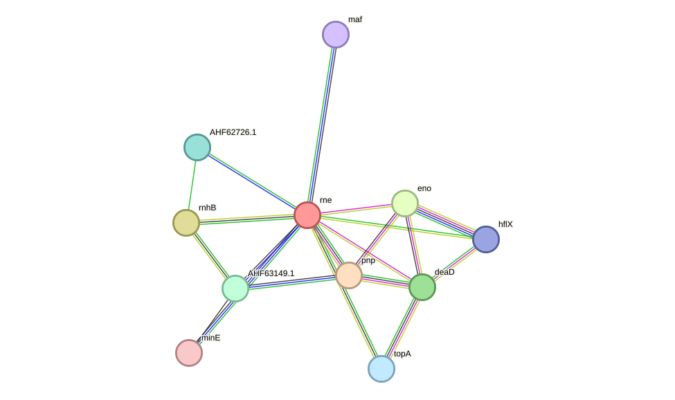 STRING protein interaction network