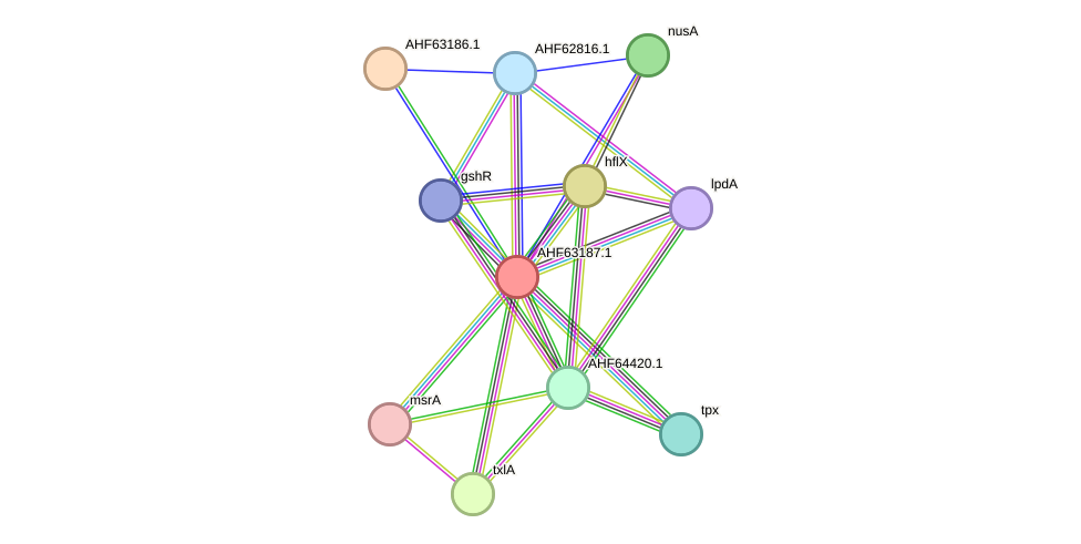STRING protein interaction network