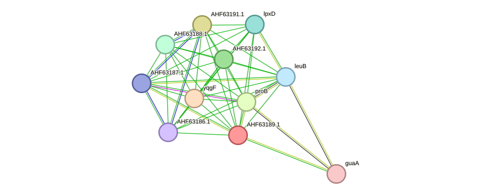 STRING protein interaction network
