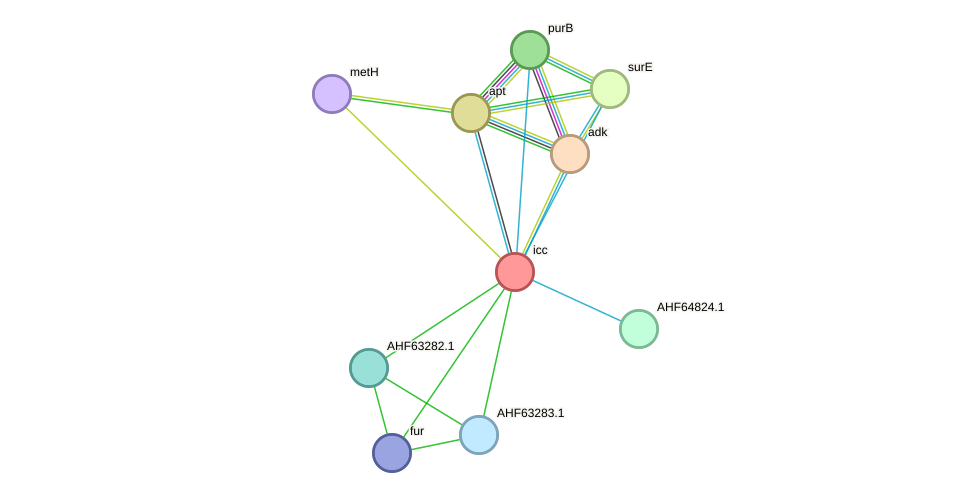 STRING protein interaction network