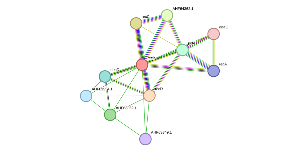 STRING protein interaction network