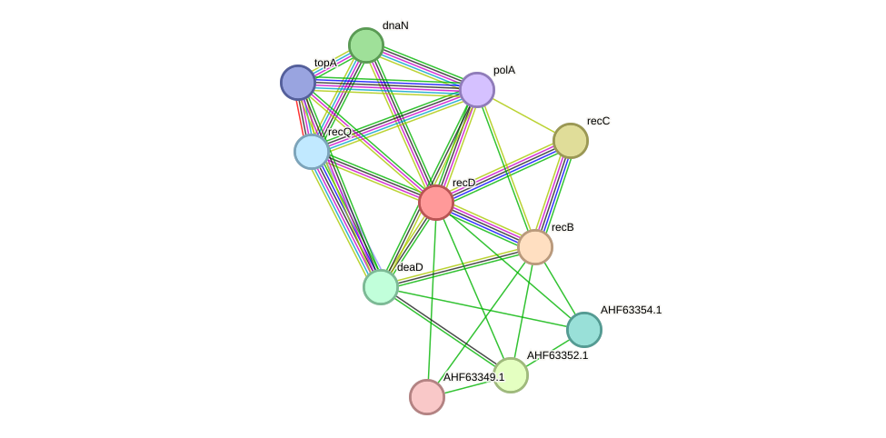 STRING protein interaction network