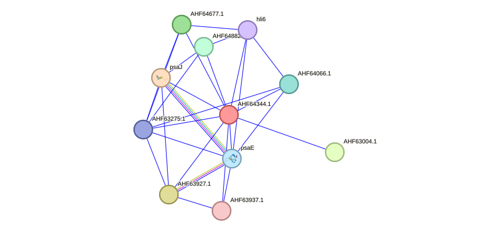 STRING protein interaction network