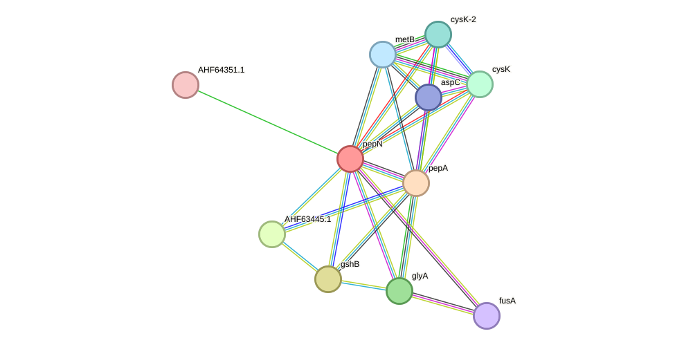 STRING protein interaction network