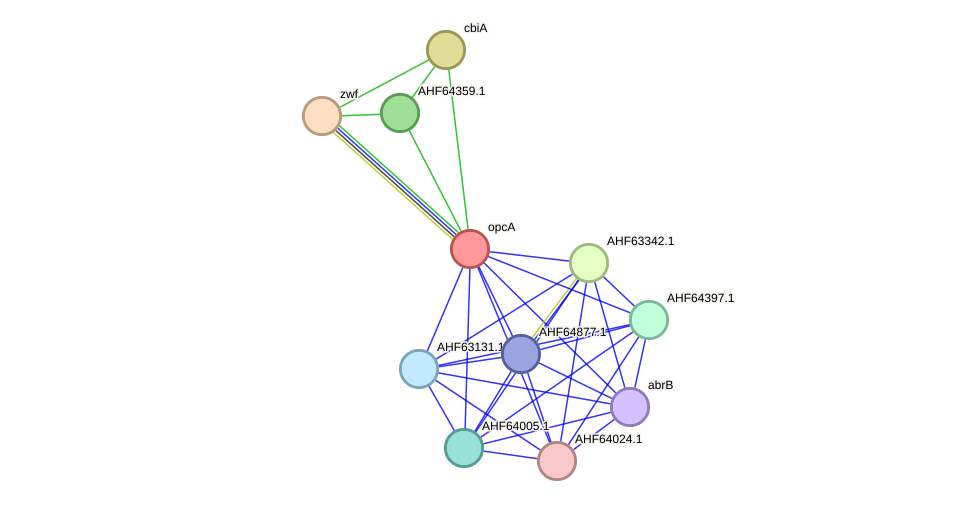 STRING protein interaction network