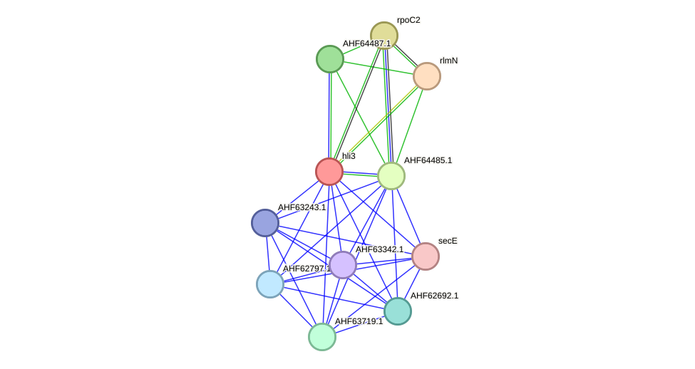 STRING protein interaction network