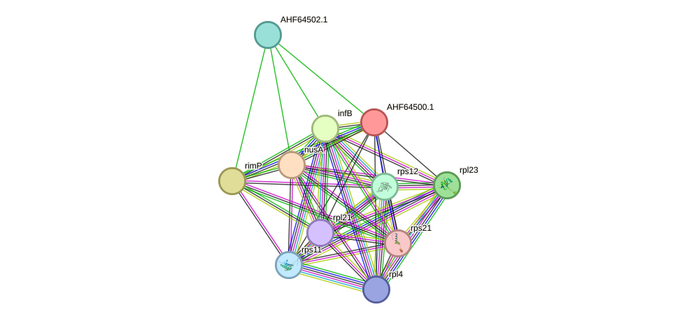STRING protein interaction network