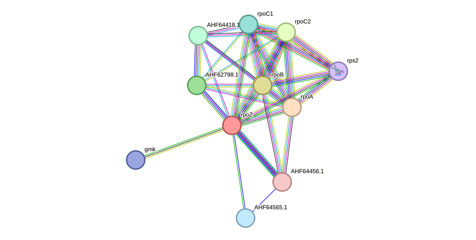 STRING protein interaction network