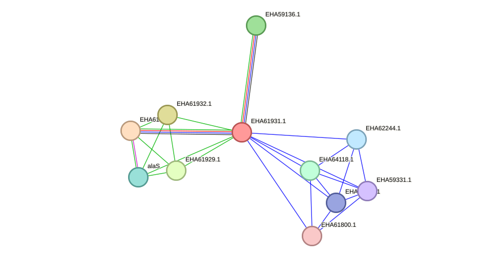 STRING protein interaction network