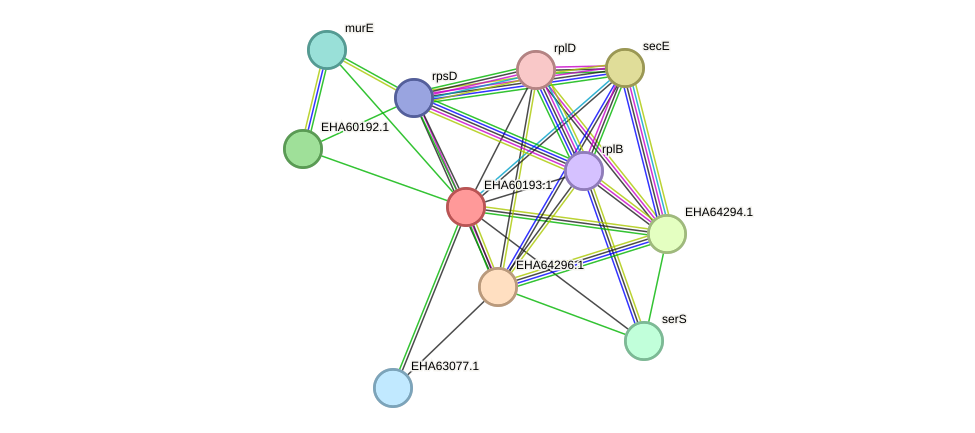 STRING protein interaction network
